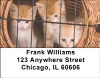 Cute Kittens Address Labels