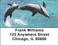 Dolphins Address Labels