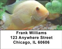 Tropical Fish Address Labels