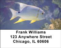 Tropical Fish Address Labels
