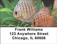 Tropical Fish Address Labels