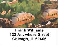 Tropical Fish Address Labels