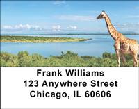 Rivers Address Labels