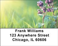 Four Seasons Address Labels