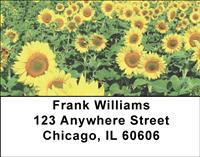 Sunflowers Address Labels