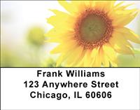 Sunflowers Address Labels