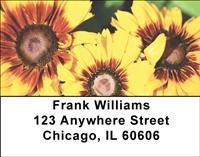 Sunflowers Address Labels