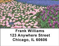 Garden Flowers Address Labels