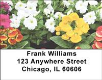 Garden Flowers Address Labels