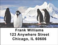 Penguins Address Labels