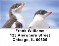 Penguins Address Labels