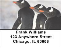 Penguins Address Labels