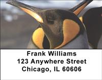 Penguins Address Labels