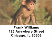 Baby Animals Address Labels