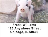 Baby Animals Address Labels