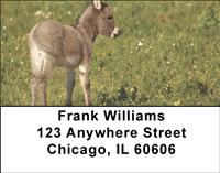 Baby Animals Address Labels