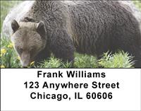 Great Grizzlies Address Labels