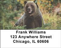 Great Grizzlies Address Labels