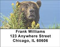 Great Grizzlies Address Labels