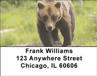 Great Grizzlies Address Labels