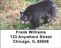 Black Bears Address Labels