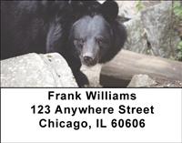 Black Bears Address Labels