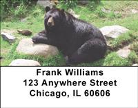 Black Bears Address Labels