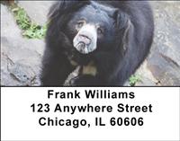 Black Bears Address Labels