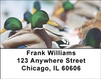Ducks Address Labels