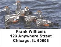 Ducks Address Labels