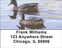 Ducks Address Labels