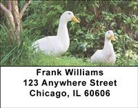 Ducks Address Labels