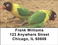 Parrots Address Labels