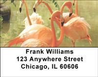 Flamingos Address Labels