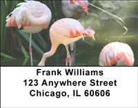 Flamingos Address Labels