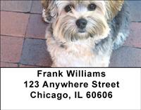 Yorkshire Terriers Address Labels