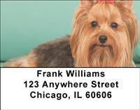 Yorkshire Terriers Address Labels