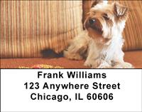 Yorkshire Terriers Address Labels