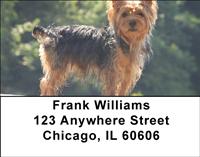 Yorkshire Terriers Address Labels