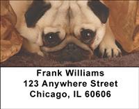 Perfect Pugs Address Labels