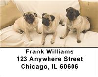 Perfect Pugs Address Labels