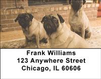 Perfect Pugs Address Labels