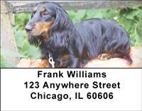 Diminutive Dachshunds Address Labels