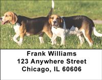 Adorable Beagles Address Labels