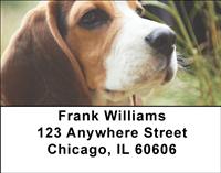 Adorable Beagles Address Labels