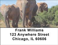 Elephants Address Labels