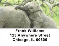 Elephants Address Labels
