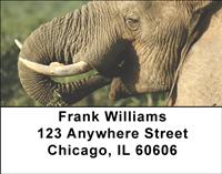 Elephants Address Labels