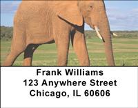 Elephants Address Labels