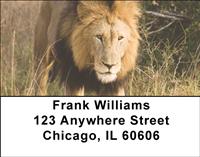 Lions Address Labels